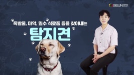 한국탐지견·반려견아카데미학원 | 댕댕이의 활약, 뛰어난 후각으로 업무를 수행하는 '탐지견' [애니멀TV]