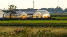 방치된 유휴공간 리모델링해 귀농·귀촌인 위한 터전 만든 귀농인의 집 [지식용어] 