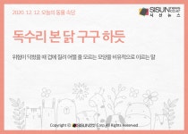 [오늘의 동물속담] 닭과 관련된 속담