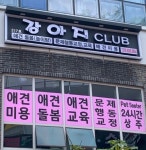 [JOB인터뷰] 안양 강아지클럽 정희경 대표, 반려견과 깊이 있는 동행을 위해선 반려견에 대해 바로 알아야