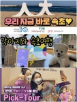 바라크아트컨설팅 | 문화컨설팅 바라, 평창·강릉·속초·정선 여행의 감동 전해