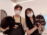 [JOB인터뷰] 부산 개츠비애견샵 성태모-임선희 대표, 당신의 일상을 완전히 뒤바꿀 새로운 가족을 만나게 해주는 곳