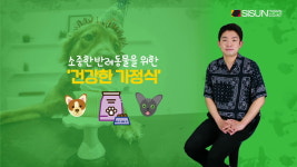 [애니멀TV] 소중한 반려동물을 위한 건강한 가정식! 어떤 것들이 있을까