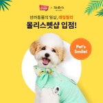 반려동물 브랜드 래핑찰리, 몰리스펫샵 입점