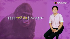 다양한 신호의 형태, 상대방에게 보내는 동물들의 다양한 신호 [애니멀TV]