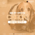 2021년 8월 마지막 주 동물 관련 정책 CHECK! [정책브리핑, 동물]
