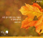 [따말] 두 번째 봄, 가을을 맞이하는 자세 