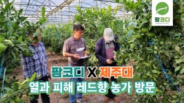 [농가이슈] 주식회사 엘아이엔티, 열과 피해 레드향 농가방문 현장점검 및 기술지도 진행