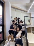 [JOB인터뷰] 경남 김해 펫샵개스트하우스 권순남 대표, 반려견이 몸도 마음도 편히 머물다 가는 공간
