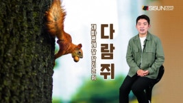 재빠르고 귀여운 다람쥐, 야생에서 함부로 먹이 주지 마세요 [애니멀TV]