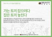 [오늘의 동물속담] 토끼와 관련된 속담