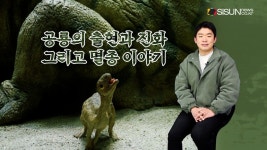 인류의 영원한 호기심 공룡, 언제 어떻게 살아왔을까 [애니멀TV]