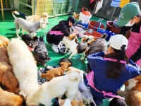 이츠펫 부산대연점, 국제 강아지의 날 맞아 유기동물 위한 물품 기부