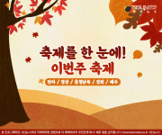 축제를 한 눈에! 이번 주(08.11.~08.17.) 축제 일정 전라/경상/충청남북 및 강원/제주 [인포그래픽]