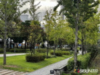 [SN여행] 연남동 랜드마크 경의선 숲길 연트럴파크...세대를 잇는 연결고리 [서울시 마포구]