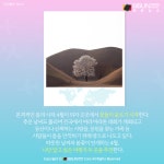 [카드뉴스] 꽃피는 4월, 나만 알고 싶은 여행지 #경주 #양평