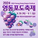 '2024 영동포도축제' 개막 D-2...다채로운 체험과 공연 가득