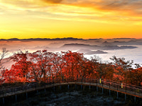 강원 바우뜰트래블, 올림픽 아리바우길 투어 선보여