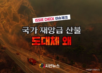 [이슈체크] 전국 동시다발 산불 사태! 영남권 피해 막심...현재진행 중