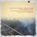 [카드뉴스] 초대형 산불에 소실되어 버린 우리의 문화유산들 [카드뉴스]