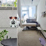 [이코노믹s] 잘살개(J.DOG) 유리 대표 반려견과 보호자가 함께 건강을 유지할 수 있도록 