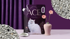 주식회사 티와이스토리, 모래 신제품 캐나클레이·카사벨라 출시