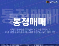 김건희로 논란된 통정매매는 무엇일까 [지식용어] 