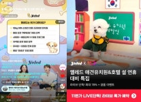 옐레드 X 11번가, 라이브커머스 성료… 프리미엄 애견유치원·호텔 온라인 판매 확대