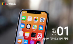 [AI 세컷뉴스] 당신의 생체 리듬이 무너지고 있다... 인체 시계를 파괴하는 3가지 주범