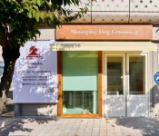 [이코노믹s] 멍데이 서유진 대표 아이의 상태와 기분을 가장 먼저 살피는 미용실을 지향합니다