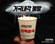 [거국내각 불발③]민주당 정치적 셈법 있었나?