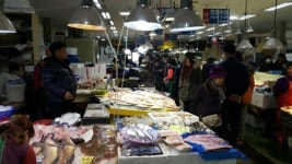 [설 민심③호남]박근혜 하야…높아지는 문재인 선호도