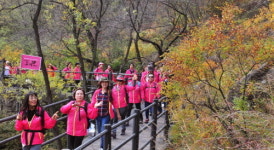 동국제약, 동행 캠페인 중년여성 참가자 모집