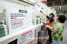 [포토오늘] 정부 인증 계란 안심하고 구매하세요
