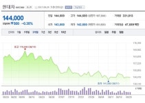 [특징주] 현대차, 상반기 명암 공존…3분기 마지막 고비 예상