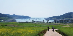 [일상스케치] 남도 기행①-느림의 미학, 슬로시티 완도 청산(靑山)도