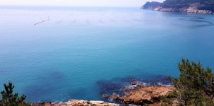 [일상스케치] 남도 기행①-느림의 미학, 슬로시티 완도 청산(靑山)도