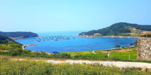 [일상스케치] 남도 기행①-느림의 미학, 슬로시티 완도 청산(靑山)도