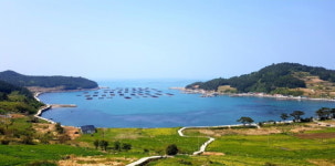 [일상스케치] 남도 기행①-느림의 미학, 슬로시티 완도 청산(靑山)도