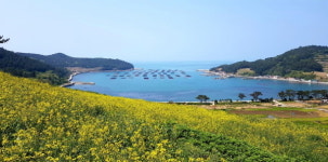 [일상스케치] 남도 기행①-느림의 미학, 슬로시티 완도 청산(靑山)도