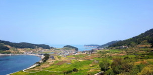 [일상스케치] 남도 기행①-느림의 미학, 슬로시티 완도 청산(靑山)도