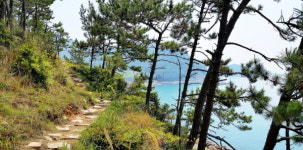 [일상스케치] 남도 기행①-느림의 미학, 슬로시티 완도 청산(靑山)도