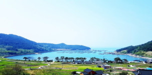 [일상스케치] 남도 기행①-느림의 미학, 슬로시티 완도 청산(靑山)도