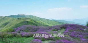 [일상스케치] 지리산의 사계① 바래봉과 팔랑치 철쭉제