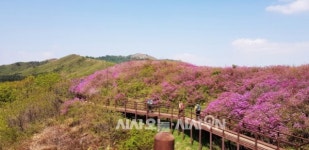 [일상스케치] 지리산의 사계① 바래봉과 팔랑치 철쭉제
