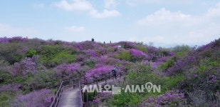[일상스케치] 지리산의 사계① 바래봉과 팔랑치 철쭉제