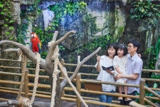 [유통오늘]한화 아쿠아플라넷 일산, 나이트 아쿠아 진행…홈플러스, 스페셜 매장서 대용량 마카롱 판매