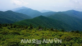 [칼럼] 지리산 반야봉에서