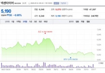 [특징주] 넥센타이어, 길어지는 판매 부진