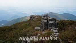 [칼럼] 무등산에서